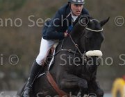 Kingsroa Clarkes Ferro TosTour 2013- S4 7051 : Arezzo Equestrian Centre, Clarkes Ferro, Kingsrod Dag Ove, Toscana Tour 2013, foto di Stefano Secchi ©
